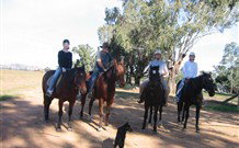 Linga Longa Farm Wingham - Hervey Bay Accommodation 1