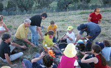 Linga Longa Farm Wingham - Hervey Bay Accommodation 3