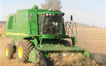 Linga Longa Farm Wingham - Hervey Bay Accommodation 4