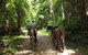 Malibells Country Cottages - thumb 1