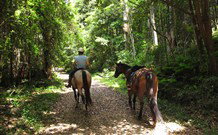 Malibells Country Cottages - Hervey Bay Accommodation 1