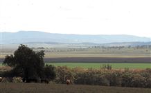 Middlebrook Station Farmstay B And B - Hervey Bay Accommodation 2