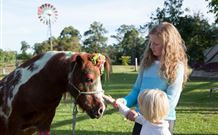 Mogendoura Farm - Hervey Bay Accommodation 7