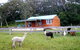 Moorallie Cottage Farm Stay - thumb 0