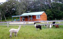 Moorallie Cottage Farm Stay - Hervey Bay Accommodation 0