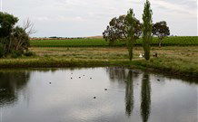 Old Redbank Farm Holiday - Tourism Hervey Bay 1
