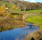 Ralda's Cottage - Hervey Bay Accommodation