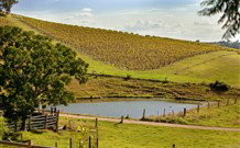 Sanctuary Hill Retreat - Hervey Bay Accommodation 0