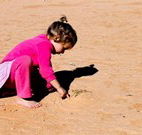 Stony Creek Farm B and B - Hervey Bay Accommodation
