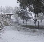 Tirrintippin - Hervey Bay Accommodation