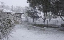 Tirrintippin - Hervey Bay Accommodation 0