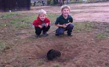 Venterfair Rural Retreat - Hervey Bay Accommodation 4