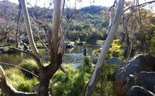 Venterfair Rural Retreat - Hervey Bay Accommodation 3