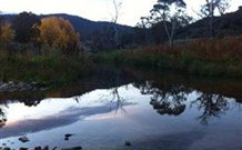 Venterfair Rural Retreat - Hervey Bay Accommodation 6