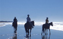 Whispering Brook - Hervey Bay Accommodation 0