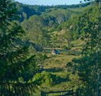 Yarralong BnB and Farm Stay - Hervey Bay Accommodation