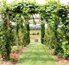 All Saints Bed and Breakfast - Hervey Bay Accommodation