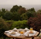 Barefoot Springs Bed and Breakfast - Hervey Bay Accommodation
