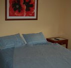 Busy Buzz - Hervey Bay Accommodation