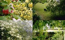 Chauvel Park B And B - Hervey Bay Accommodation 1