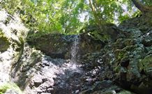 Cougal Park Bed And Breakfast - Hervey Bay Accommodation 3