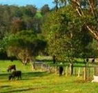Giba Gunyah Country Cottages - Hervey Bay Accommodation