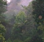 Havans Ecotourist Retreat - - Hervey Bay Accommodation
