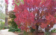 Langford House B&B - Hervey Bay Accommodation 4