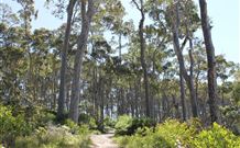 Lilli Pilli Beach Bed And Breakfast - Hervey Bay Accommodation 5