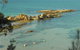Longbeach Clifftop Retreat - - thumb 5
