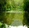 Mangrove Yoga Ashram - - Hervey Bay Accommodation