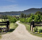 Pemberley Grange Hunter Valley Getaway - Hervey Bay Accommodation