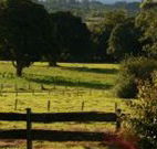 Pines on the Plateau - Hervey Bay Accommodation