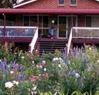 Rose Patch Bed and Breakfast - Hervey Bay Accommodation