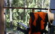 Spotted Gum B & B Homestay - - thumb 1