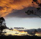 Silkwood B and B - Hervey Bay Accommodation