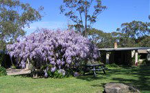 Studio Cottages - Hervey Bay Accommodation 0