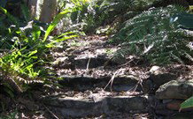 Studio Cottages - Hervey Bay Accommodation 5