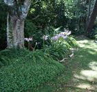 Tallawalla Retreat - Hervey Bay Accommodation