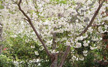 Valley Of The Waters Bed And Breakfast - Hervey Bay Accommodation 7