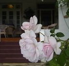 White House Heritage Guesthouse - Tourism Hervey Bay