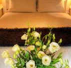 Winton Luxury Bed and Breakfast - Hervey Bay Accommodation