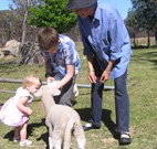 Yarralong BnB and Farm Stay - Hervey Bay Accommodation