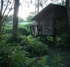 Mount Seaview Resort - Hervey Bay Accommodation