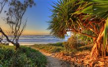 Andrea's Houses - Frangipani House - Hervey Bay Accommodation 4