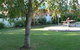 BIG4 Koala Shores Holiday Park - Lemon - thumb 4