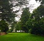 Brigalow Cottage - Hervey Bay Accommodation