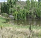 Cedar Grove - Hervey Bay Accommodation