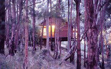 Elgetha Cottage - Hervey Bay Accommodation 5