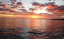 Emma's Cottage Vineyard - Hervey Bay Accommodation 4